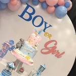 Maket Cinsiyet Partisi Pastaları